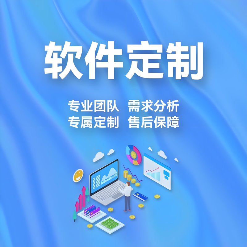 定制化企业管理系统：提升企业竞争力的秘密武器